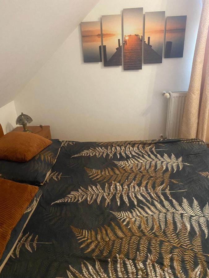 Pokoje Goscinne Emilio Kudowa-Zdrój Exteriér fotografie